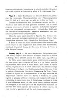 giornale/CFI0359894/1923/unico/00000127