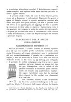 giornale/CFI0359894/1924/unico/00000035