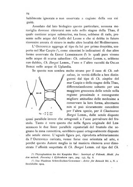 La nuova Notarisia rassegna trimestrale consacrata allo studio delle alghe