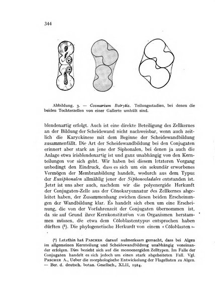 La nuova Notarisia rassegna trimestrale consacrata allo studio delle alghe