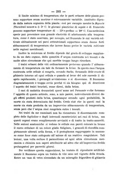 Nuova rassegna di viticoltura ed enologia della Regia scuola di Conegliano