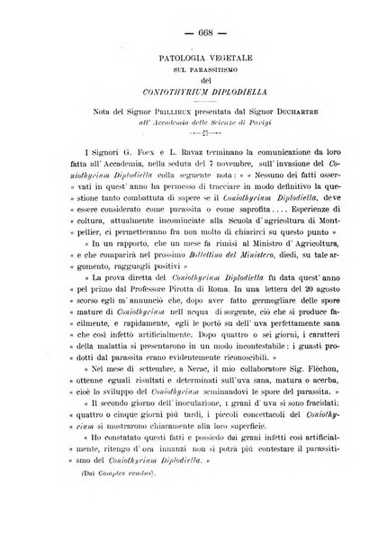 Nuova rassegna di viticoltura ed enologia della Regia scuola di Conegliano