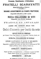 giornale/CFI0359909/1890/unico/00000184