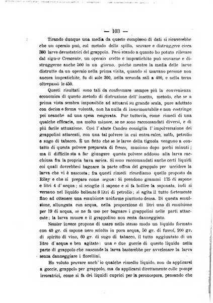 Nuova rassegna di viticoltura ed enologia della Regia scuola di Conegliano