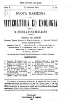 giornale/CFI0359909/1891/unico/00000819