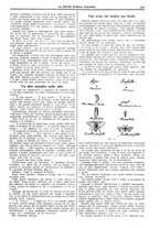 giornale/CFI0359948/1923-1924/unico/00001009