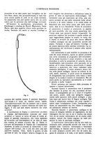 giornale/CFI0360608/1916/unico/00000197