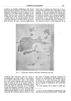 giornale/CFI0360608/1916/unico/00000473