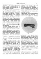 giornale/CFI0360608/1916/unico/00000501