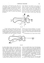 giornale/CFI0360608/1916/unico/00000519