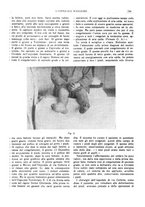 giornale/CFI0360608/1916/unico/00000701