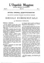 giornale/CFI0360608/1917/unico/00000079