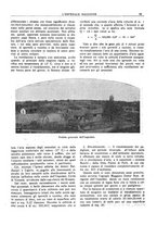 giornale/CFI0360608/1917/unico/00000443