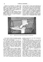 giornale/CFI0360608/1917/unico/00000516