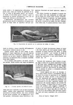 giornale/CFI0360608/1917/unico/00000517