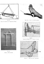 giornale/CFI0360608/1917/unico/00000547