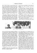 giornale/CFI0360608/1917/unico/00000551