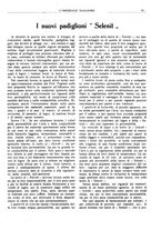 giornale/CFI0360608/1919/unico/00000045