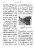 giornale/CFI0360608/1919/unico/00000162