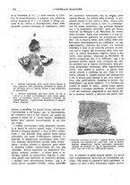 giornale/CFI0360608/1919/unico/00000434