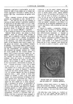 giornale/CFI0360608/1921/unico/00000139