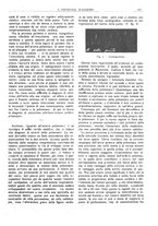 giornale/CFI0360608/1921/unico/00000333