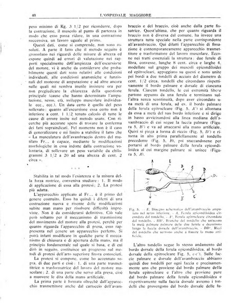 L'Ospedale Maggiore rivista scientifico-pratica dell'Ospedale Maggiore di Milano ed Istituti sanitari annessi