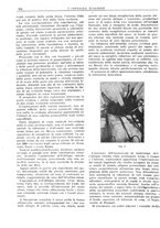 giornale/CFI0360608/1922/unico/00000314