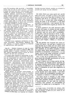 giornale/CFI0360608/1923/unico/00000197