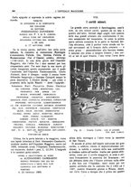 giornale/CFI0360608/1923/unico/00000592