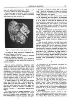 giornale/CFI0360608/1924/unico/00000065