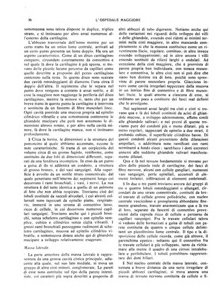 L'Ospedale Maggiore rivista scientifico-pratica dell'Ospedale Maggiore di Milano ed Istituti sanitari annessi