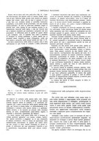 giornale/CFI0360608/1929/unico/00000417