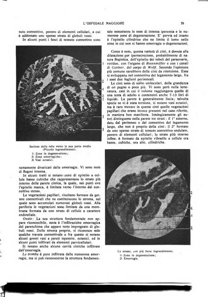 L'Ospedale Maggiore rivista scientifico-pratica dell'Ospedale Maggiore di Milano ed Istituti sanitari annessi