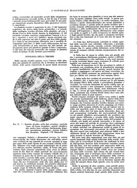 L'Ospedale Maggiore rivista scientifico-pratica dell'Ospedale Maggiore di Milano ed Istituti sanitari annessi