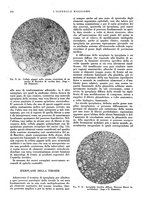 giornale/CFI0360608/1930/unico/00000366