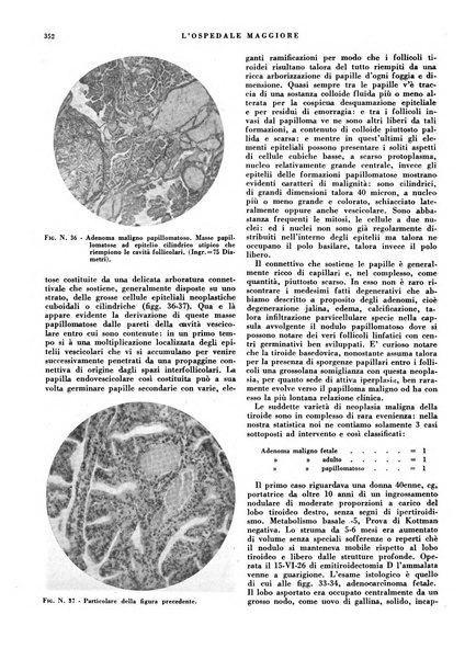 L'Ospedale Maggiore rivista scientifico-pratica dell'Ospedale Maggiore di Milano ed Istituti sanitari annessi