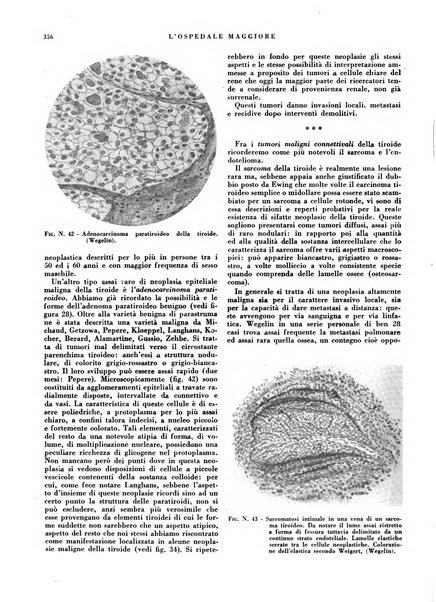 L'Ospedale Maggiore rivista scientifico-pratica dell'Ospedale Maggiore di Milano ed Istituti sanitari annessi