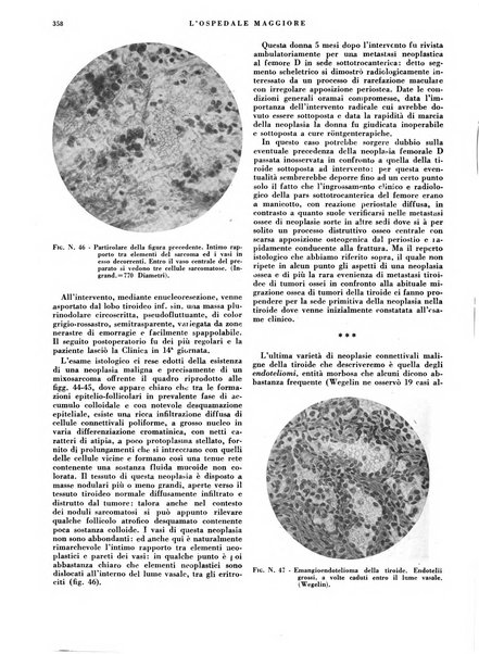 L'Ospedale Maggiore rivista scientifico-pratica dell'Ospedale Maggiore di Milano ed Istituti sanitari annessi