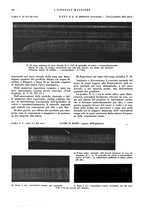 giornale/CFI0360608/1930/unico/00000524