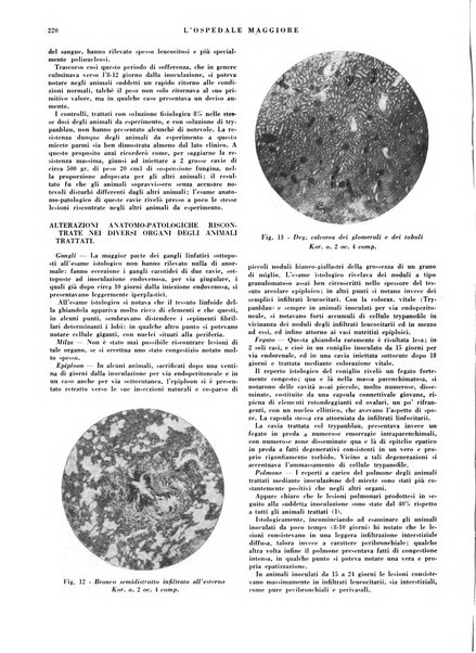 L'Ospedale Maggiore rivista scientifico-pratica dell'Ospedale Maggiore di Milano ed Istituti sanitari annessi