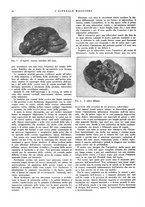 giornale/CFI0360608/1932/unico/00000046