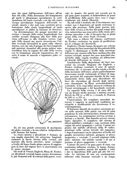 L'Ospedale Maggiore rivista scientifico-pratica dell'Ospedale Maggiore di Milano ed Istituti sanitari annessi