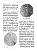 giornale/CFI0360608/1932/unico/00000504