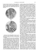 giornale/CFI0360608/1932/unico/00000537