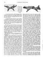 giornale/CFI0360608/1932/unico/00000648