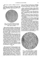 giornale/CFI0360608/1932/unico/00000703