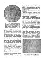 giornale/CFI0360608/1932/unico/00000708