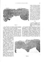 giornale/CFI0360608/1932/unico/00000783