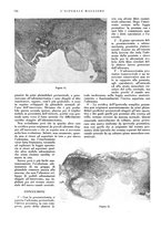 giornale/CFI0360608/1932/unico/00000786